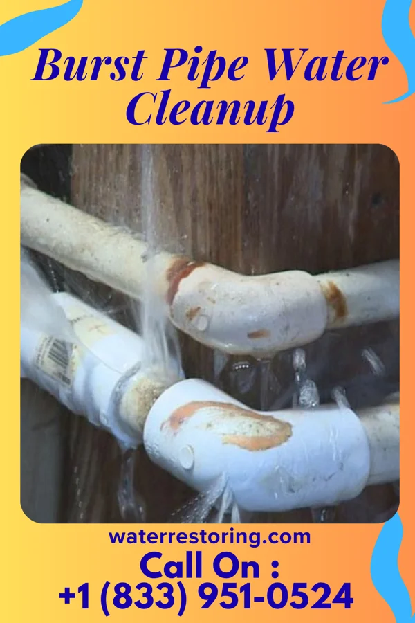 Burst Pipe Water Cleanup in Beattie, KS