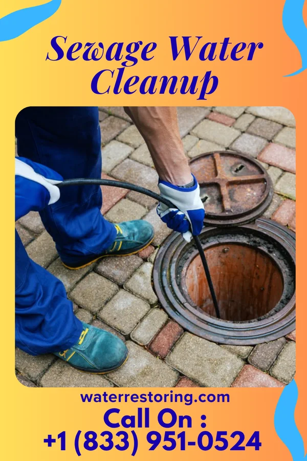 Sewage Water Cleanup in Beattie, KS